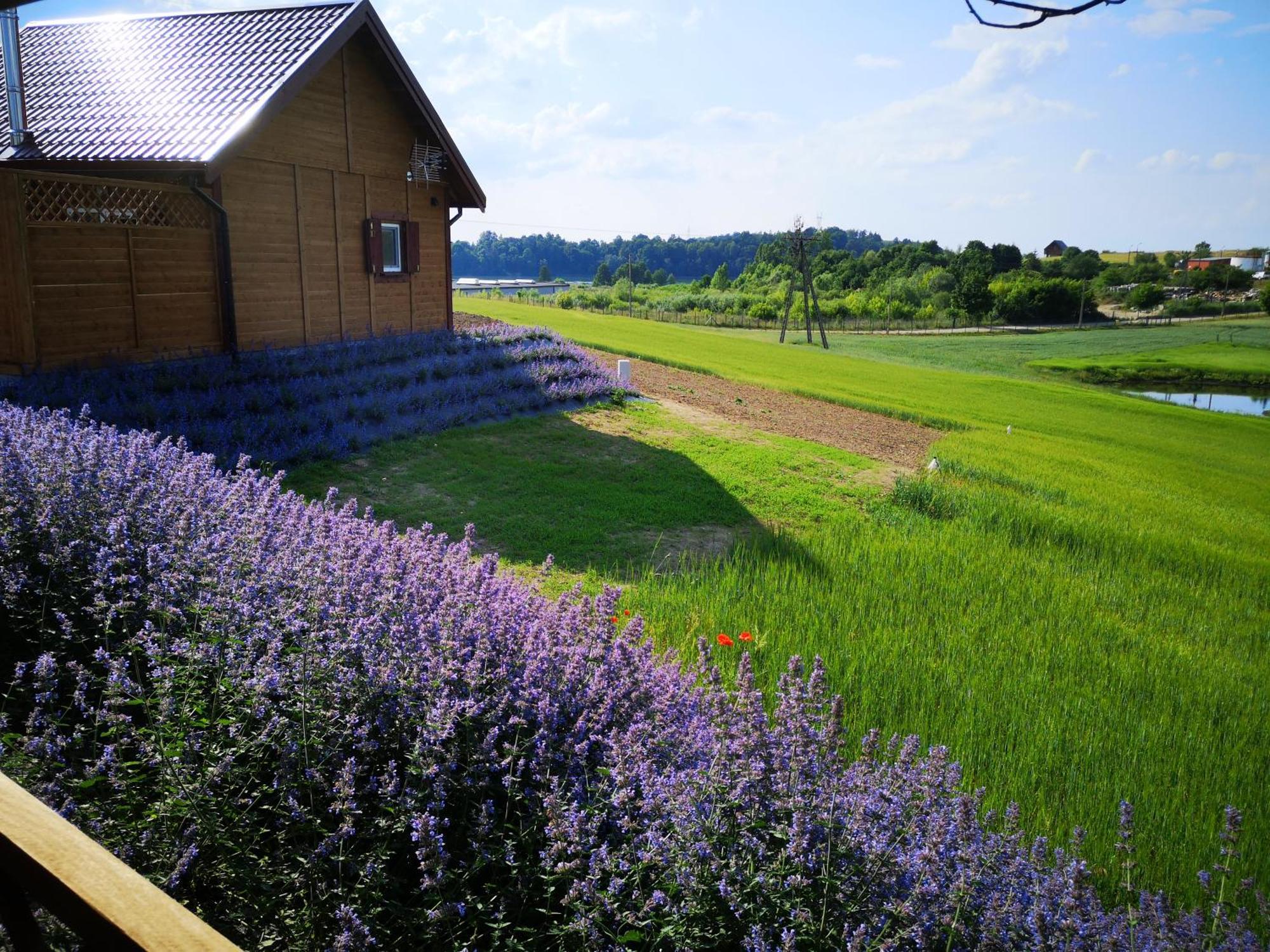 Apartamenty, Zielone Wzgorze Wiktora W Mikolajkach Mikołajki 部屋 写真